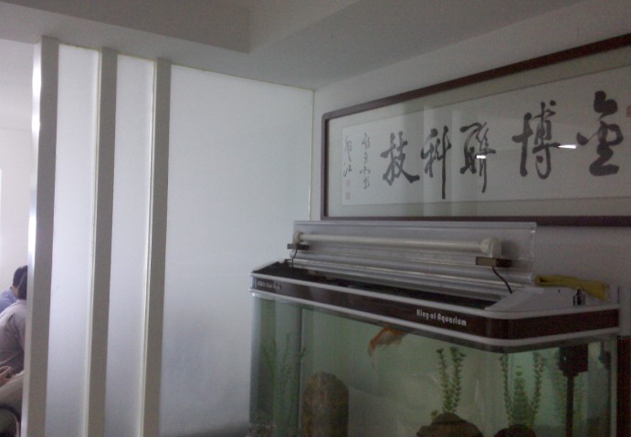 ϽƼ޹˾,ɳǿϢƼ޹˾,ϻΪ,,ϴ,ɳ,ɳΪ۱,ɳ,ɳ,Ϸ,ɳ,Ϸ